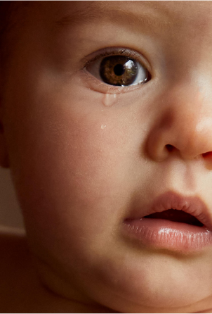 Studio Day Dot Baby Macro Close Up Image Teartrop
